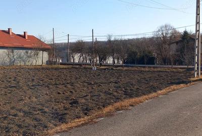 Teren de 1500 mp, în Borșa - 3