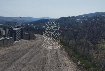 Teren Construcții intravilan de 569 mp, în Vest - 2