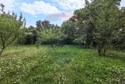 Casa traditionala De Vanzare cu 5 Hectare de teren - 13