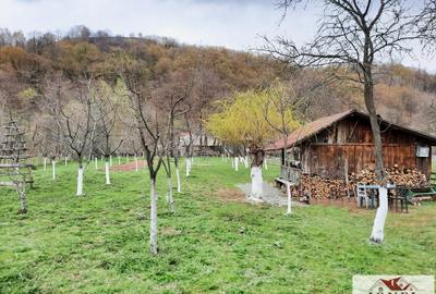 Teren Construcții intravilan de 4544 mp, în Almașu Mare
