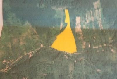 Teren intravilan,  2,5 ha, zona de deal in Seini - 3