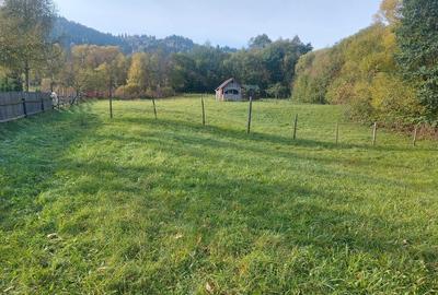 Spre vanzare teren 3662 mp in Campulung Moldovenesc - 6