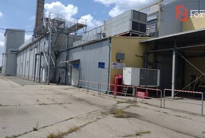 COMISION 0% Hala de productie si depozitare, corp administrativ si birouri COMISION 0% Hala de productie si depozitare, corp administrativ si birouri - 36