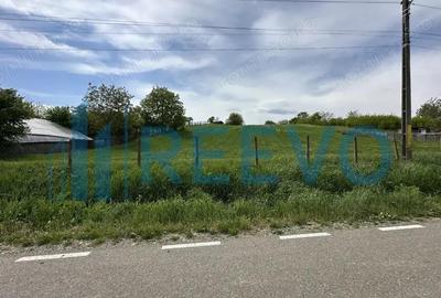 Teren de vanzare, Sat Valea Mare, Com. Ro?iori, Bacau - 4