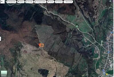 Teren extravilan Sotanga, ID: R2590381 - 2