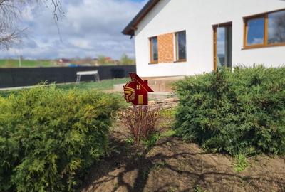 Casa plan parter deosebita, Lunca Cetatuii Ciurea, la asfalt, zona vis - 8