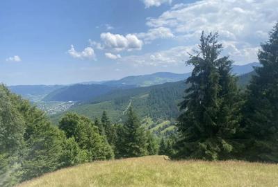 Teren de 33277 mp, în Central - 2