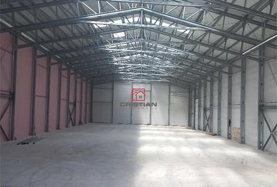 Depozit/hala/spatiu industrial Buftea - Tamasi, Ilfov - 7