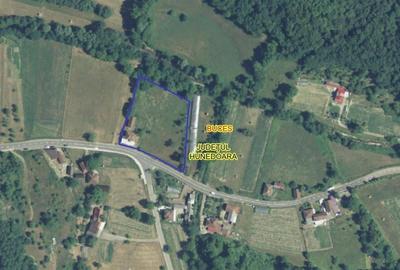 Proprietate cu potential in Apuseni - fosta pizzerie, ideala pentru afacere sau - 17