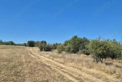 Teren în Grebănu - 1
