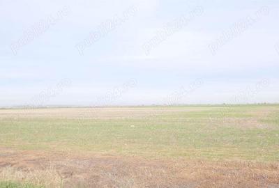 Teren de 270000 mp, în Gherghița - 1