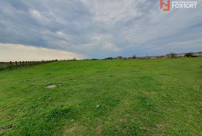 Teren Construcții intravilan de 58340 mp, în Sânmartinu Sârbesc - 22