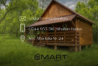 Teren intravilan 3102mp zona Racovita-Blanoiu - 8