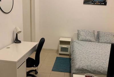 Garsonieră nedecomandată în Cișmigiu - 8
