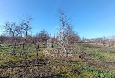 Casă cu 5 camere cu Teren 2158 Mp în Freidorf - 2