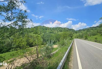 Teren de 2910 mp, în Hangu - 1