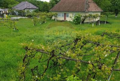 Casă cu 3 camere cu Teren 3760 Mp în Arieșu de Pădure - 4