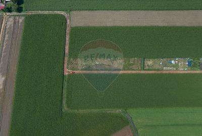 Teren de 1100 mp de vanzare in Stupini - 6