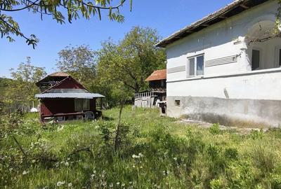 Casă cu 3 camere cu Teren 1400 Mp în Nicolae Bălcescu - 5