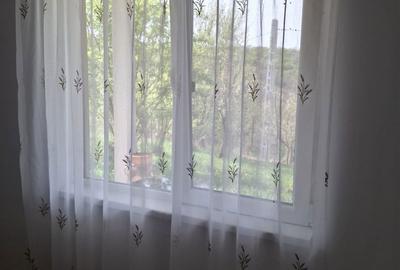 Casă cu 2 camere în Mineu - 15
