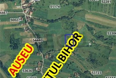 Teren de 5325 mp, în Luncșoara - 1