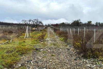 Teren extravilan de vanzare, 1.057 mp, zona Sigmir - 3