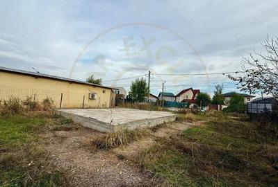 Teren pentru dezvoltare proiect imobiliar Domnesti-Centru - 10