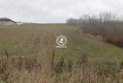 Teren de 5000 mp, în Central - 3