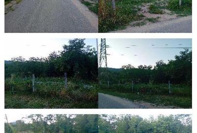 Teren de 256 mp, în Dăești