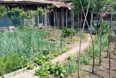 Casa cu 4 camere, 140 mp, teren 450 mp, oras Blaj - 7