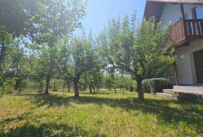 Casă cu 4 camere în Dumbrava - 8