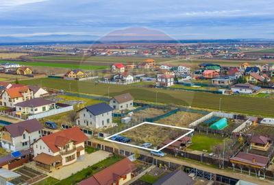 Teren 621mp Harman, Dimitrie Cantemir - Toate Utilitatile... - 6