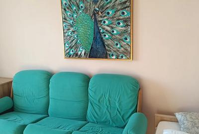 Proptietar inchiriez apartament cu 2 camere Tache Ionescu 450 euro - 6