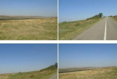 Teren de 6000 mp, în Vârlezi - 7