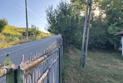 Casă cu 2 camere cu Teren 980 Mp în Central - 3