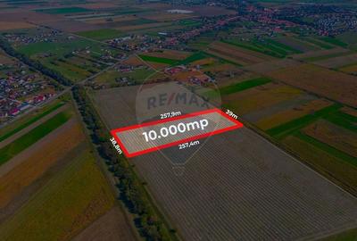 Teren 10,000mp Bod/Extravilan - 5