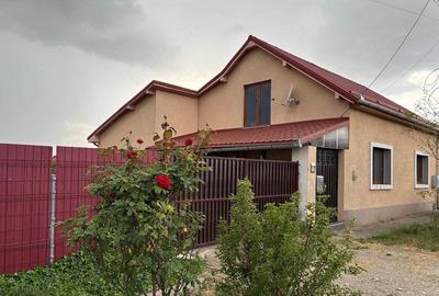 Casă cu 2 camere cu Teren 2878 Mp în Coșteiu - 1