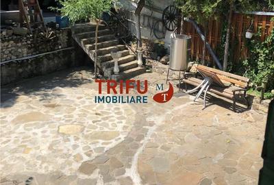 Casă cu 4 camere cu Teren 3000 Mp în Cricău - 10