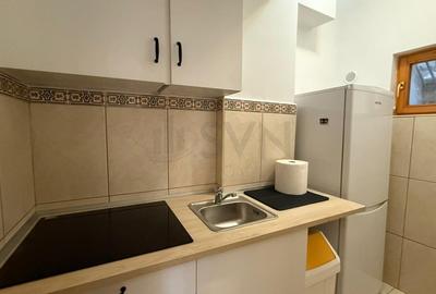 REV0008165 Casa de inchiriat Parcul Carol - 5