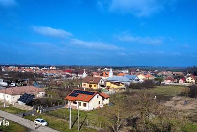 Spațiu comercial, în Bazoș - 8