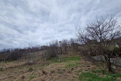 Teren agricol intravilan de 584 mp, în Dezmir - 10