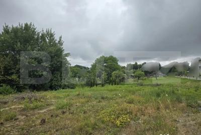 Teren de 845 mp, în Făget - 3