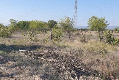 Teren de 2042 mp, în Central - 6