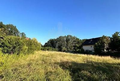 Teren în Păulești - 4