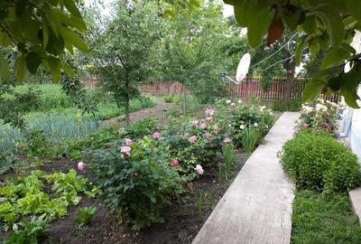 Casa cu teren in Dragos Voda, judetul Calarasi - 3