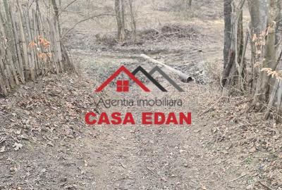 Teren de 3448 mp, în Provița de Jos - 1