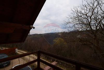 Casă cu 6 camere cu Teren 10331 Mp în Sohodol - 23