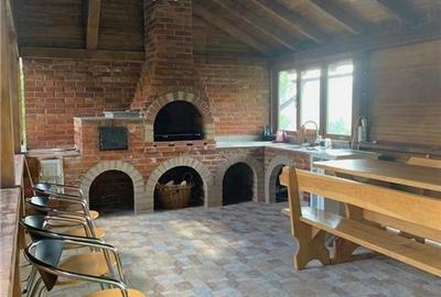 Cabana la munte, Colibita, jacuzzi, foisor - 23