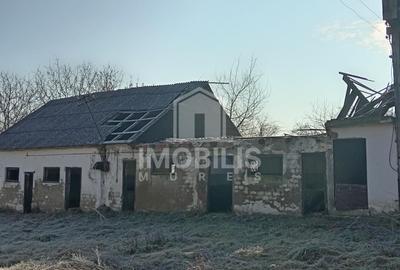 Teren Construcții intravilan de 13134 mp, în Budiului - 13