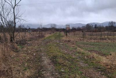 Spațiu comercial, în Porumbacu de Sus - 6